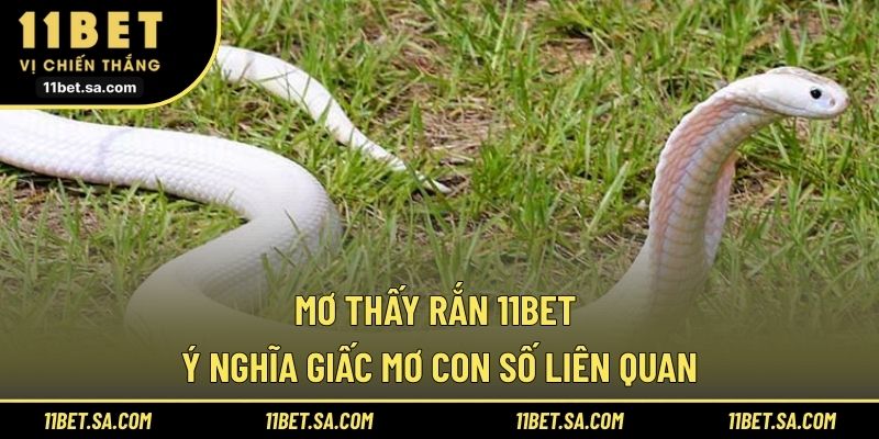 Mơ thấy rắn